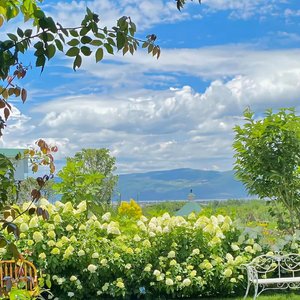 梦影飘渺夜微凉