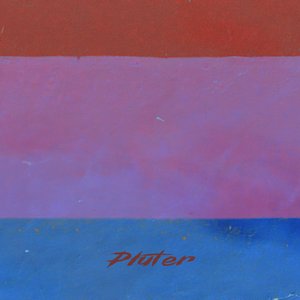 Pluter