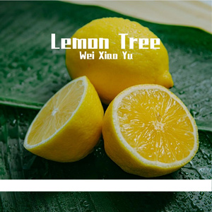 Lemon Tree (cover)