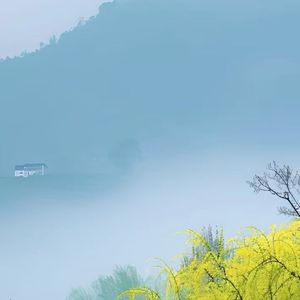 追逐着你的眼眸