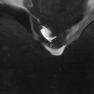 02__BLF_B005_B045_A029 (Waldorf Blofeld)