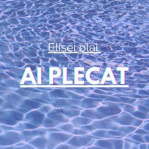 Ai Plecat