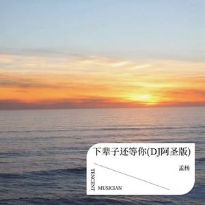 下辈子还等你 (DJ阿圣版)
