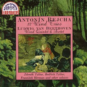 12 Trios for Two French Horns and Bassoon, Op. 93:No. 9, Marcia. Andante