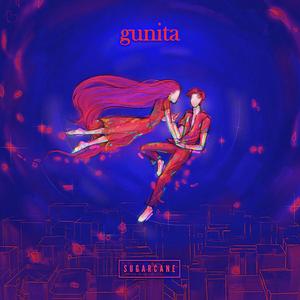 Gunita