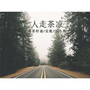 人走茶凉 (伴奏)