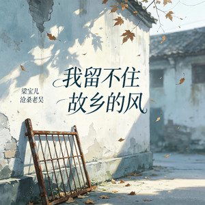 我留不住故乡的风