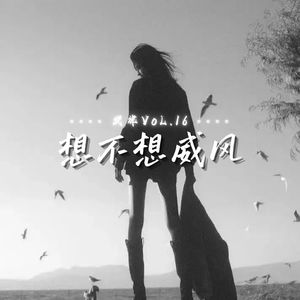想不想威风（旋律VoL.16)
