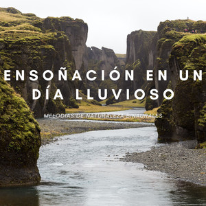 Susurros En El Bosque Empapado De Lluvia