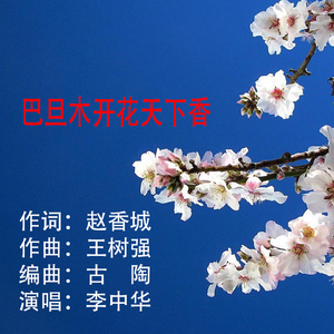 巴旦木花开天下香