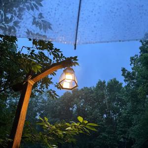 为时已晚 CHECKYHON/豪公子