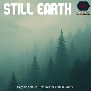 Rootline (Organic Textures for Calm Focus)