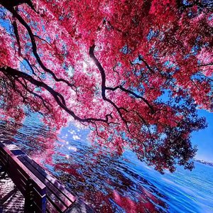 高手如云的时代