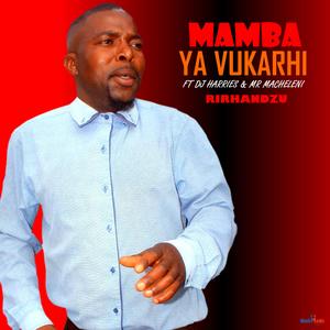 Ma 2000 (feat. Mr Macheleni & DJ Harries)