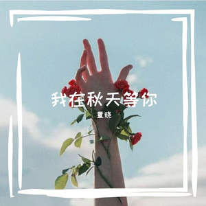 我在秋天等你