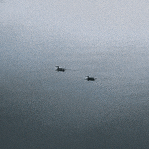 сподіваюсь, мені це здалось