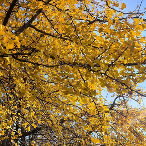 陪你等黄昏日落