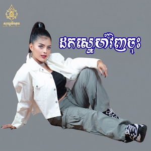 ដកស្នេហ៍បងវិញចុះ (Live)