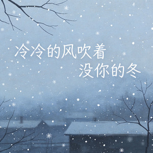 冷冷的风吹着没你的冬