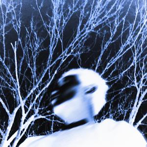 LIFE IS LIKE A BOX OF CHOCOLATES