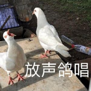 熬夜上瘾（翻自 刘亦心）