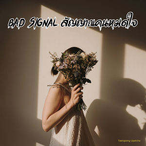 Bad Signal สัญญาณคนหมดใจ