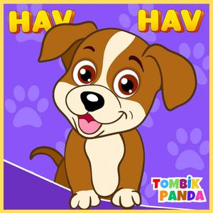 Köpeğimin İki Kulağı Var
