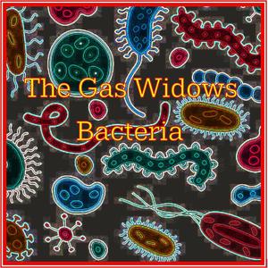 Bacteria