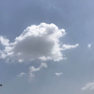 春(prod by wavytrbl）