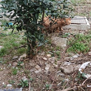 候鸟带不走心动