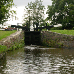 Disguised (King Theta Cover)