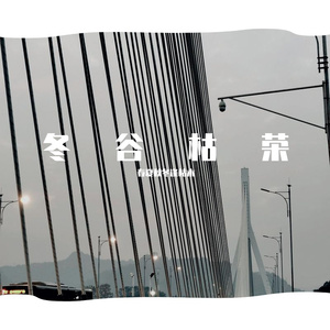 昨夜梦里看见你