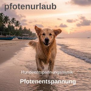 Pfotenentspannung