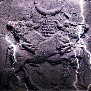 Moonlight Howling