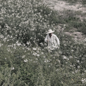 Chegada (Todo o Meu Blues)