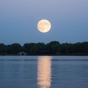 星光闪烁伴我心