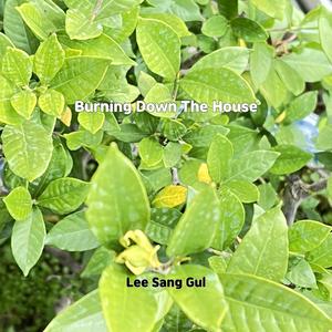 Candy Everybody Wants