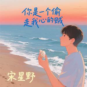 你是一个偷走我心的贼