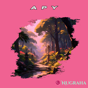 A P Y