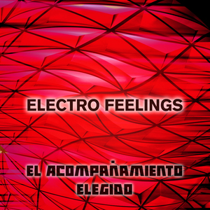 Las Gallinas Externas