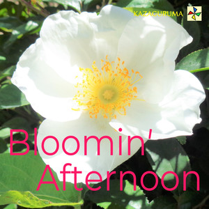 Bloomin' Afternoon