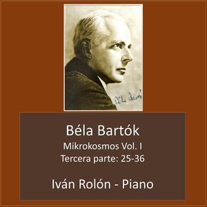 Imitación en espejo