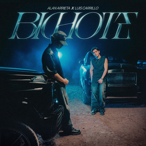 Bichote