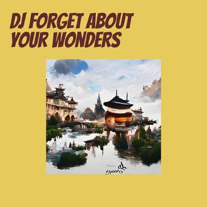 Dj Forget About Your Wonders