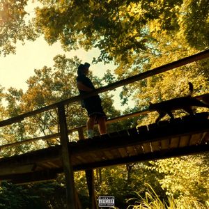 123 Мои Цифры