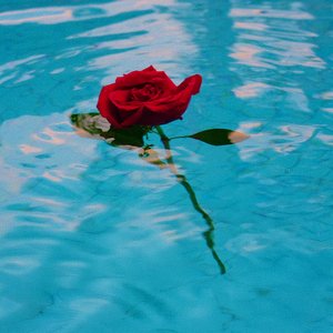 Imerso em Mistério