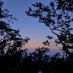 一碗羊杂两个饼