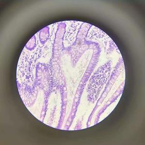 遇见（钢琴版）