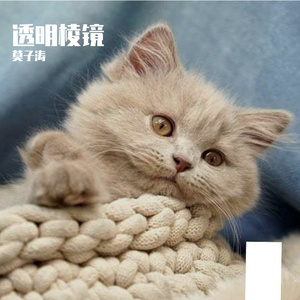 《棱镜宣言》Kill-开心-民谣 (1)