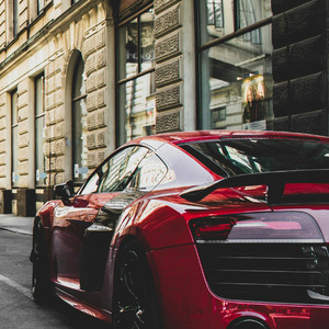 Bloods